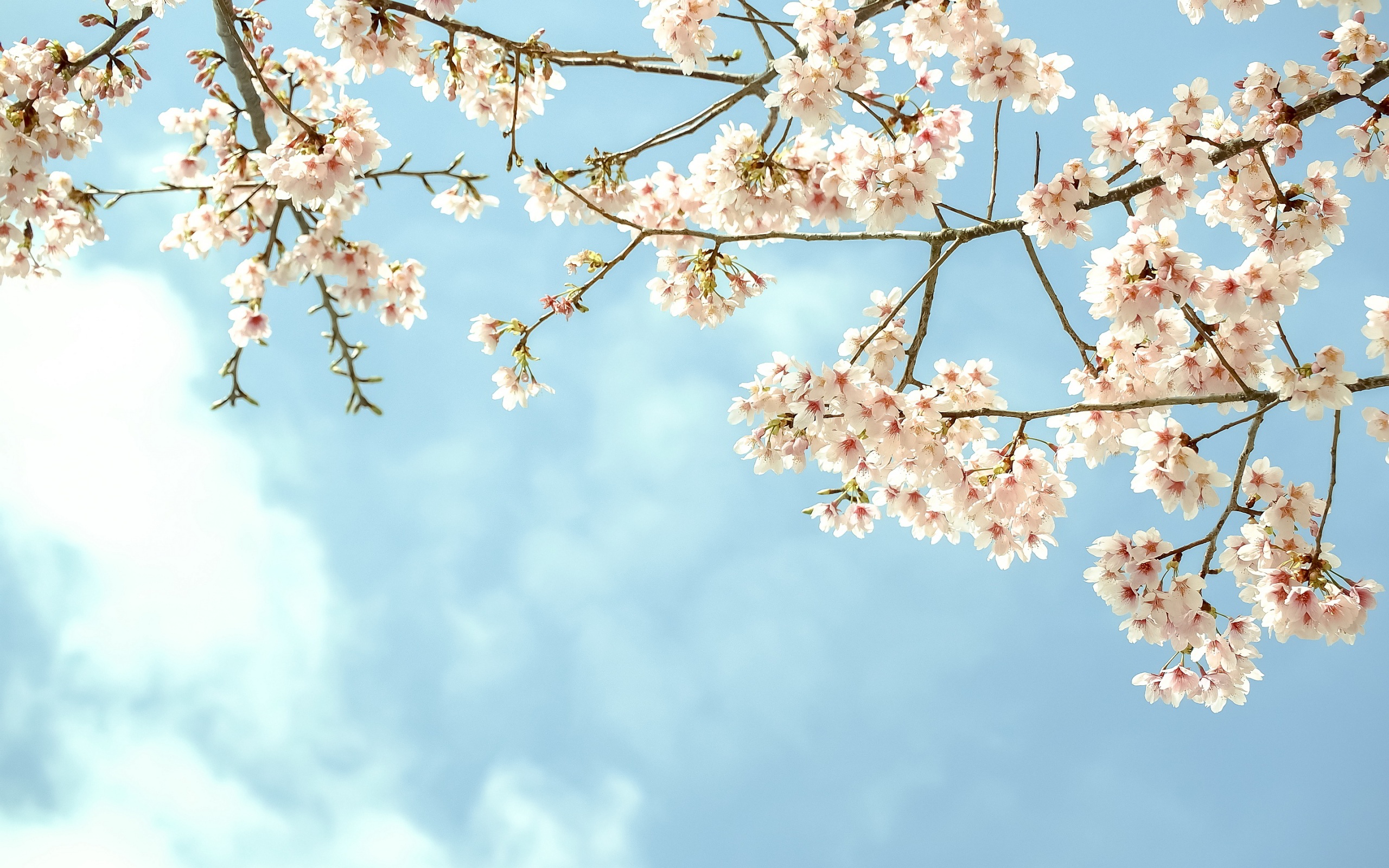 salud bucodental y primavera en Santander